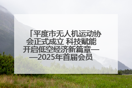 平度市无人机运动协会正式成立 科技赋能开启低空经济新篇章——2025年首届会员大会暨无人机应用发展论坛成功举办
